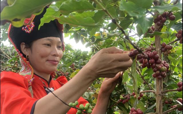 IIX huy động 500.000 USD cho DETECH Coffee nhằm tạo tác động xã hội Việt Nam